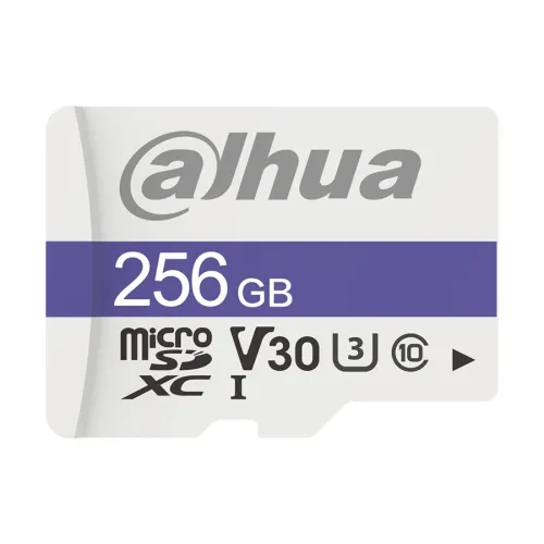 Dahua C100 microSDXC Memory Card — 256GB, UHS-I Class 10