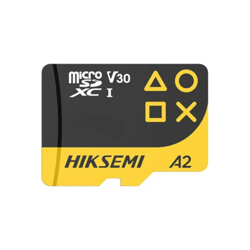 Hiksemi FUTURE HS-TF-G3 MicroSD Memory Card — 256GB