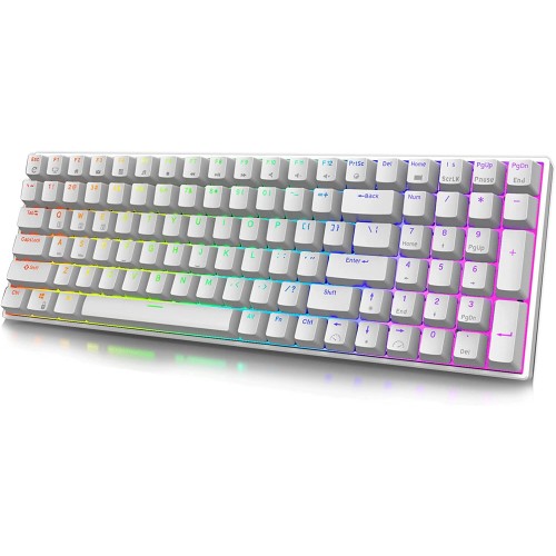ROYAL KLUDGE RK100 Mechanical Keyboard — RGB, Wireless, Blue Switch