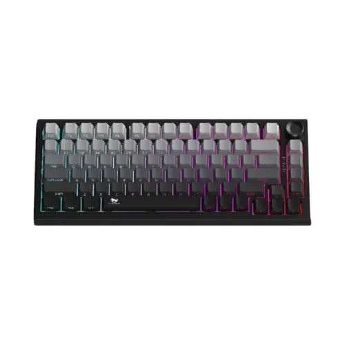 T-Wolf K81 Mechanical Keyboard — RGB, Tri-Mode Wireless