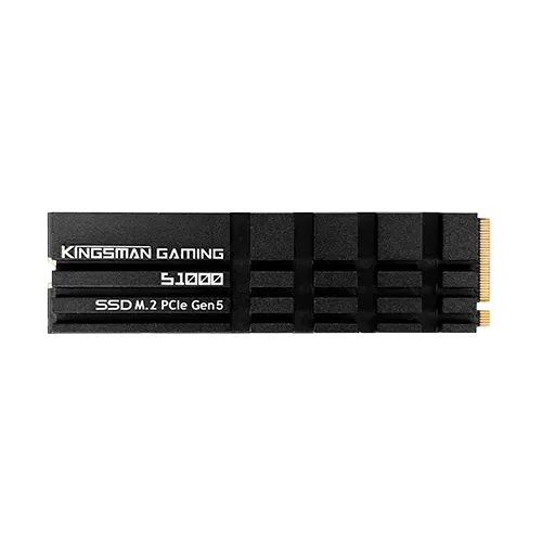 AITC KINGSMAN S1000 NVMe 2.0 SSD — 1TB, M.2 2280, PCIe Gen5x4, With DRAM & Heatsink