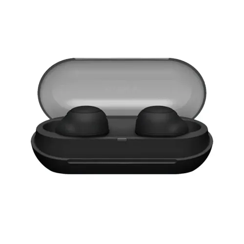 Sony WF-C500 Earbuds