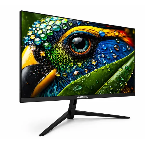 Gigasonic GS-21.5FHD500S9 21.5" IPS Gaming Monitor — 100Hz, FHD