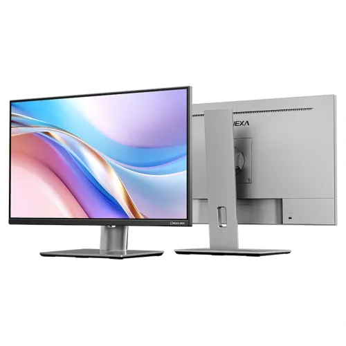 Walton WD238I11 Monitor (Silver) — 23.8" FHD IPS, 100Hz