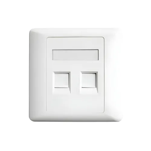 Belden AX104442 Faceplate — Dual Port