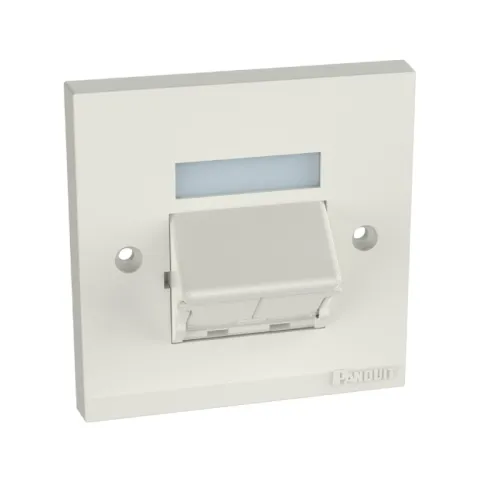 Panduit Pan-Net CFPUKS2SIWY Dual-Port Faceplate